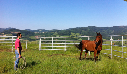 formation-equitation-ethologique