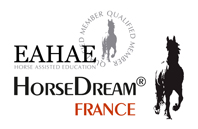 HorseDream France Kanyo consulting Equilibre-Ccoaching