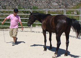 kanyoconsulting_equicoaching_jeromedumont_individuel02